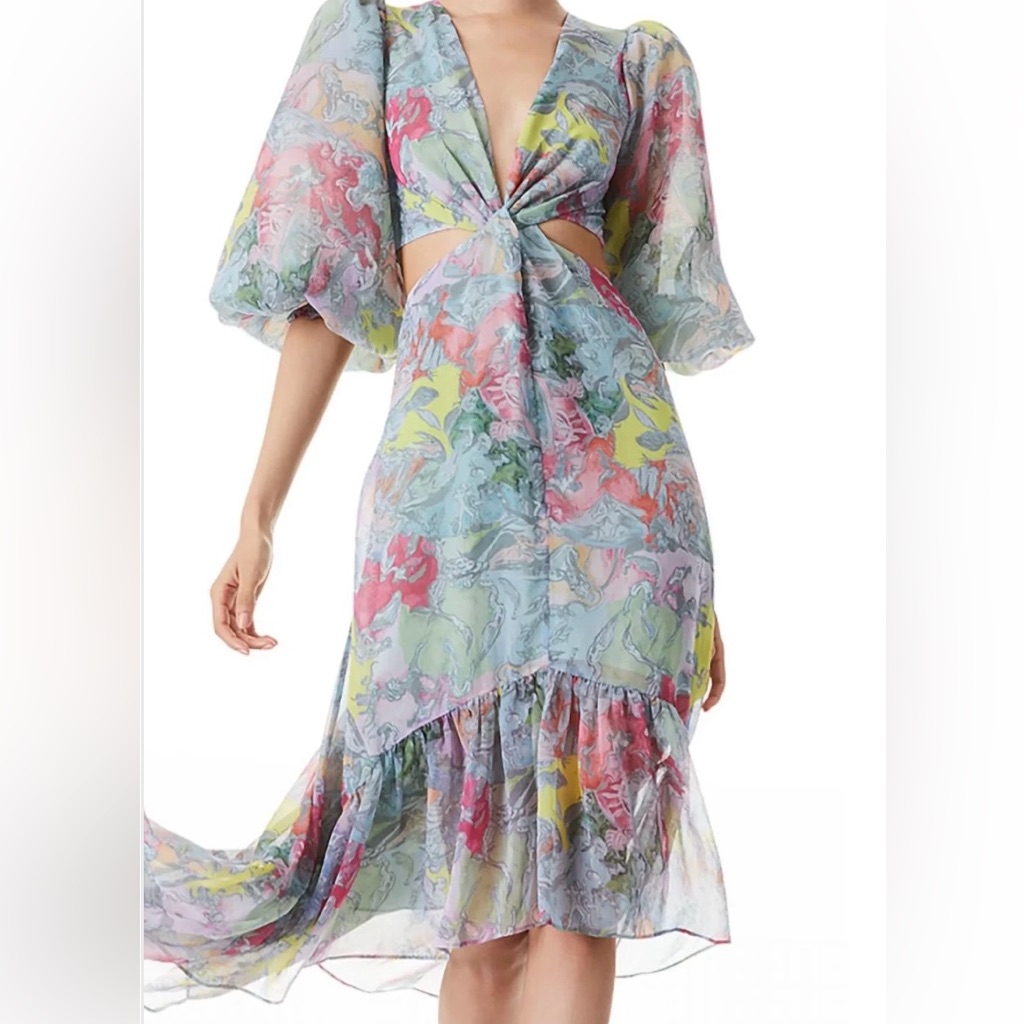 Alice & Olivia “Lola’s Dream” Katia Dress